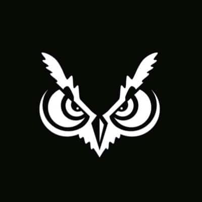 Picture of Oregon Tech Owls