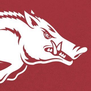 Picture of Arkansas Razorbacks