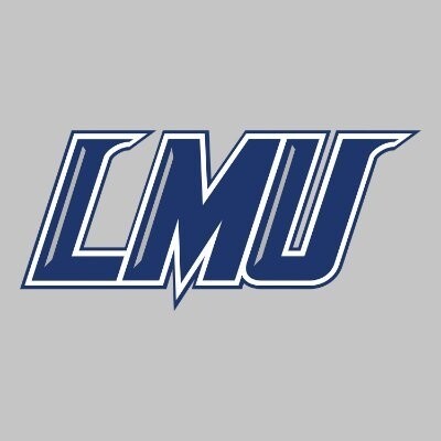 Picture of LMU Railsplitters