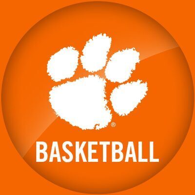 Picture of Clemson University Tigers