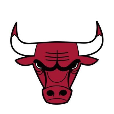 Picture of Chicago Bulls