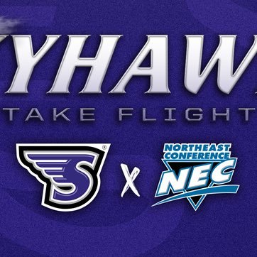 Picture of Stonehill Skyhawks