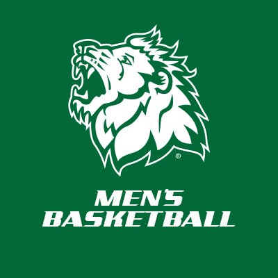 Picture of MSSU Lions