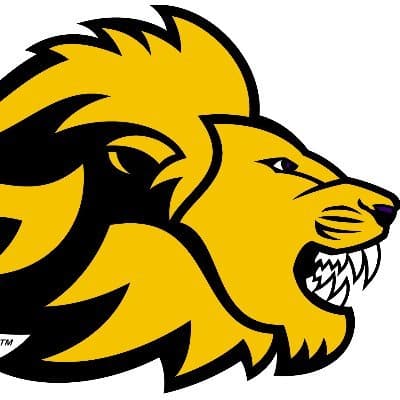 Picture of Emerson Lions