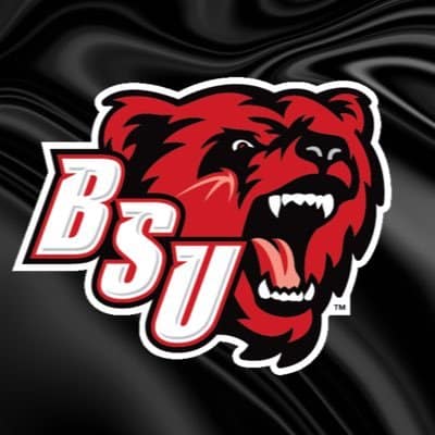 Picture of BSU Bears