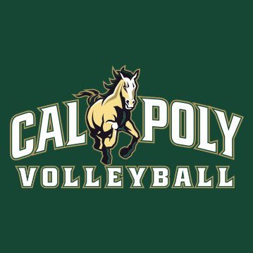 Picture of Cal Poly Volleyball